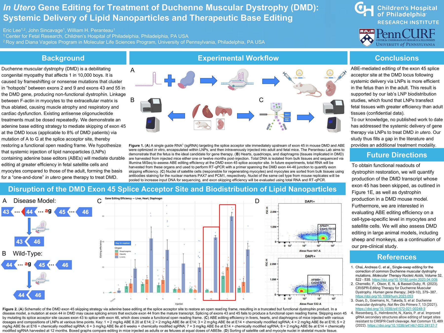 Research poster: In Utero Gene Editing for Treatment of Duchenne Muscular Dystrophy